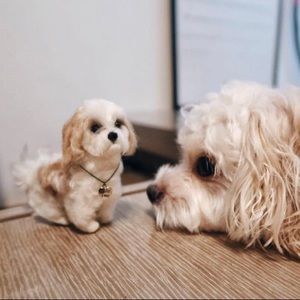 Custom pet wool felt dog, best gift for everyone